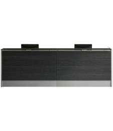 Recepción Dúo Ébano