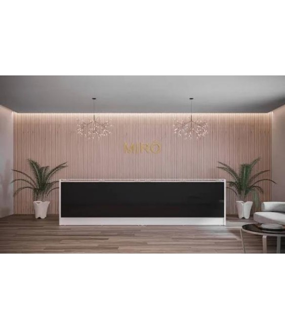 Recepción Miro Grand Lux